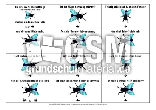Domino-An-eine-matte-Herbstfliege-Grillparzer.pdf